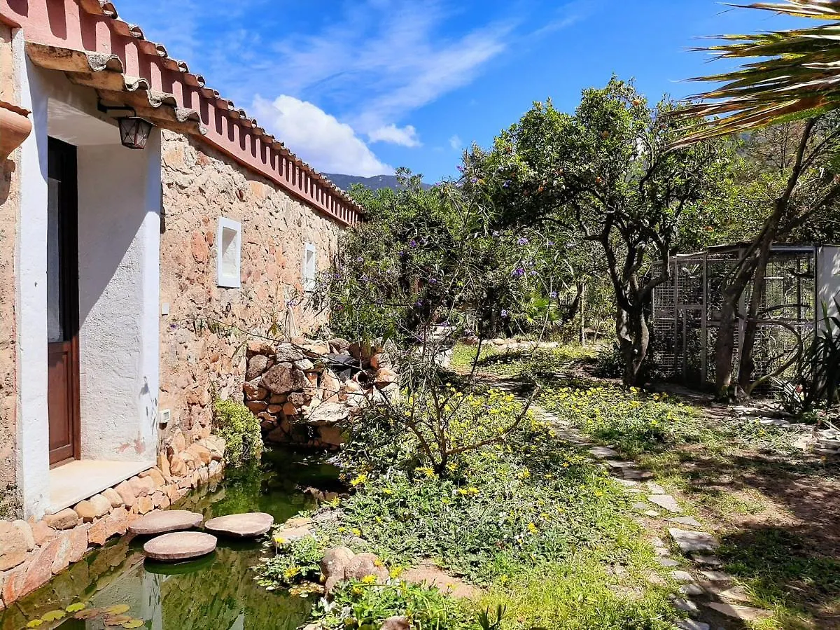 Villa La Fattoria Delle Tartarughe San Gregorio