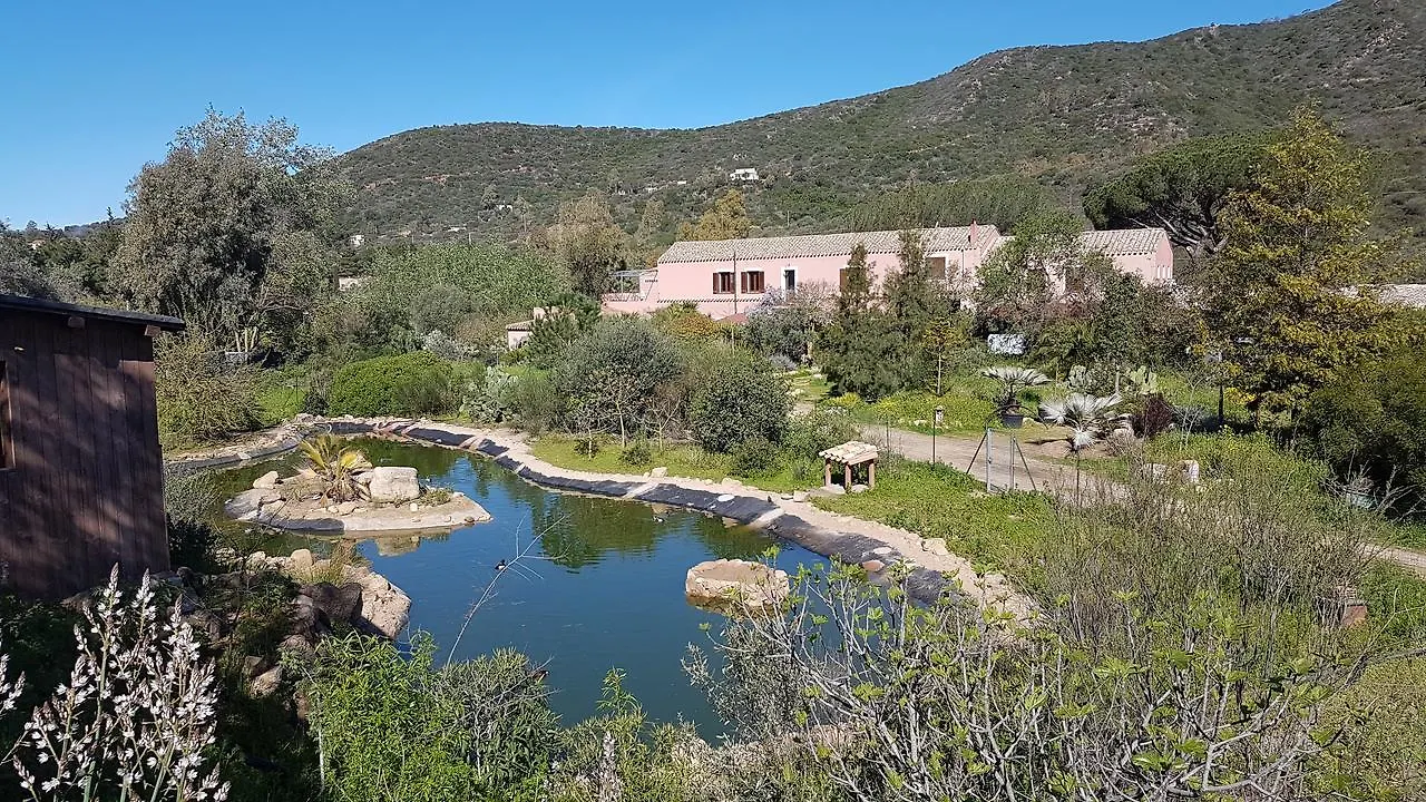 Villa La Fattoria Delle Tartarughe San Gregorio  Alloggio per agriturismo San Gregorio (Sardinia)
