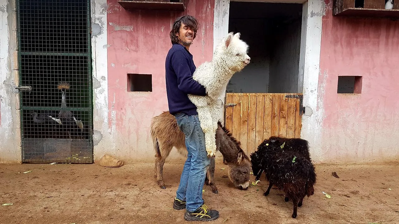 مزرعة للإقامة فيلا La Fattoria Delle Tartarughe San Gregorio